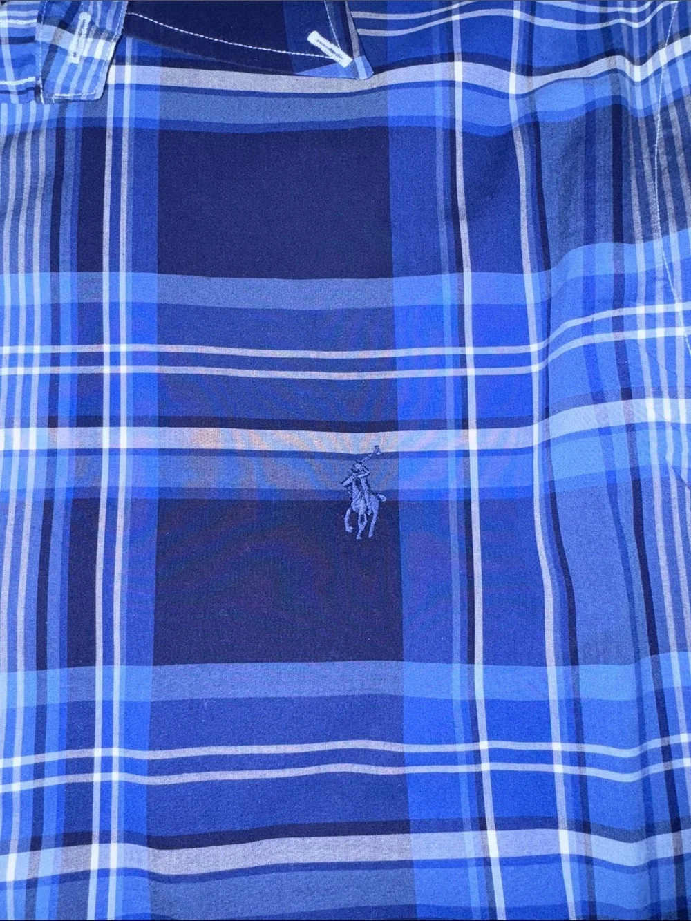 Polo by Ralph Lauren Navy & Light Blue Plaid Dress Shirt